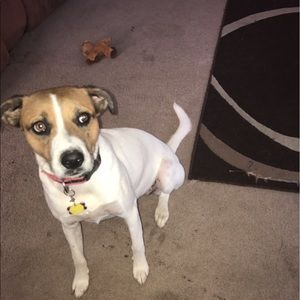 Meet your Posher, Carley