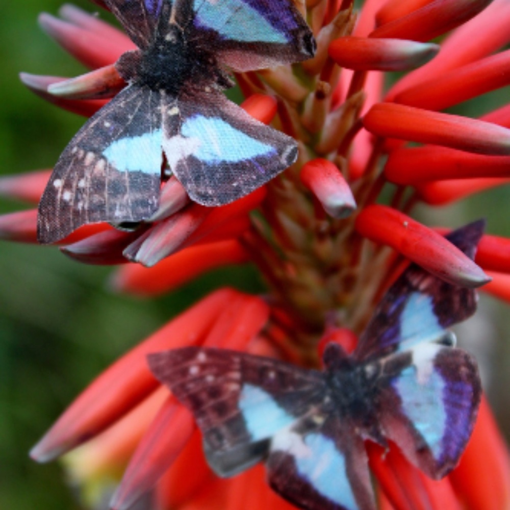 Blue Brown Silk Butterfly Clips