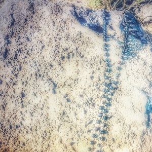 Meet your Posher, Katy