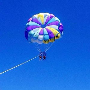 Meet your Posher, Fidel