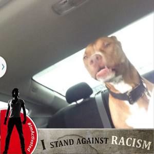 Meet your Posher, Maryellen