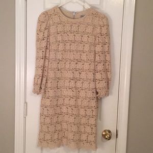 Eliza J knit dress