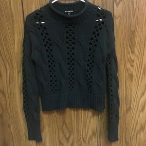 Express knit sweater