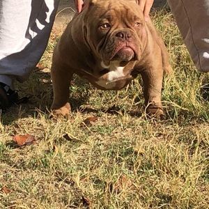 Meet your Posher, Junior