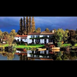 Meet your Posher, Antonio