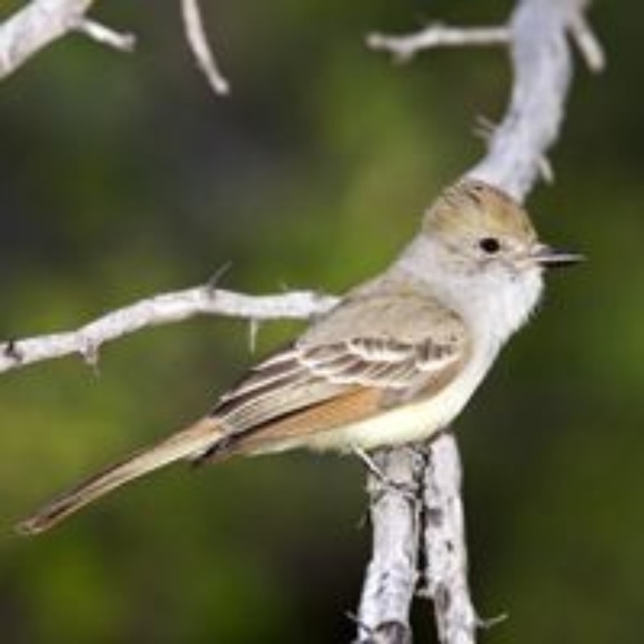 Meet your Posher, Lori - Picture 2 of 2