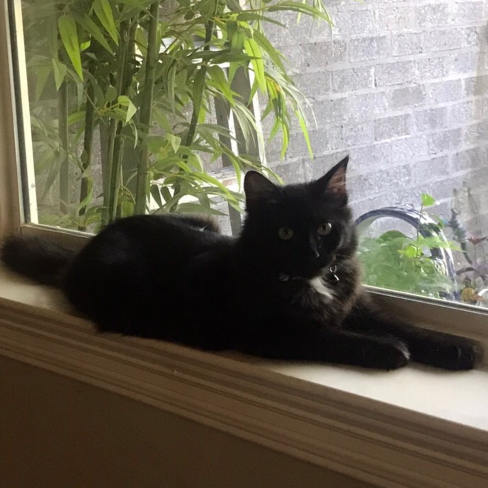 Meet your Posher, Kathlen