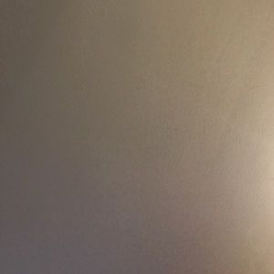 Meet your Posher, Hunter