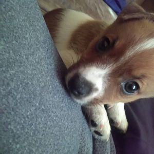 Meet your Posher, Johnae