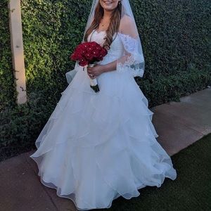 Wedding dress along with veil