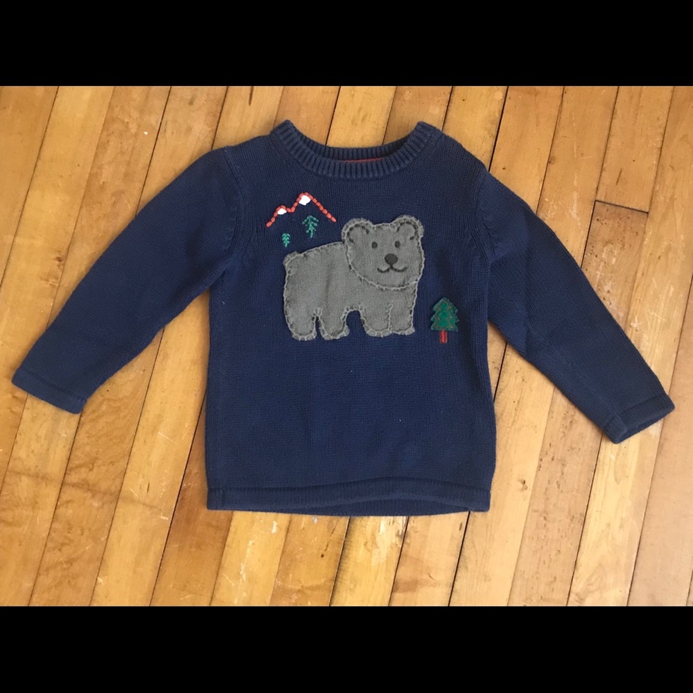 Cute bear sweater