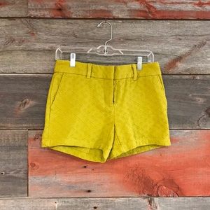 LOFT patterned shorts