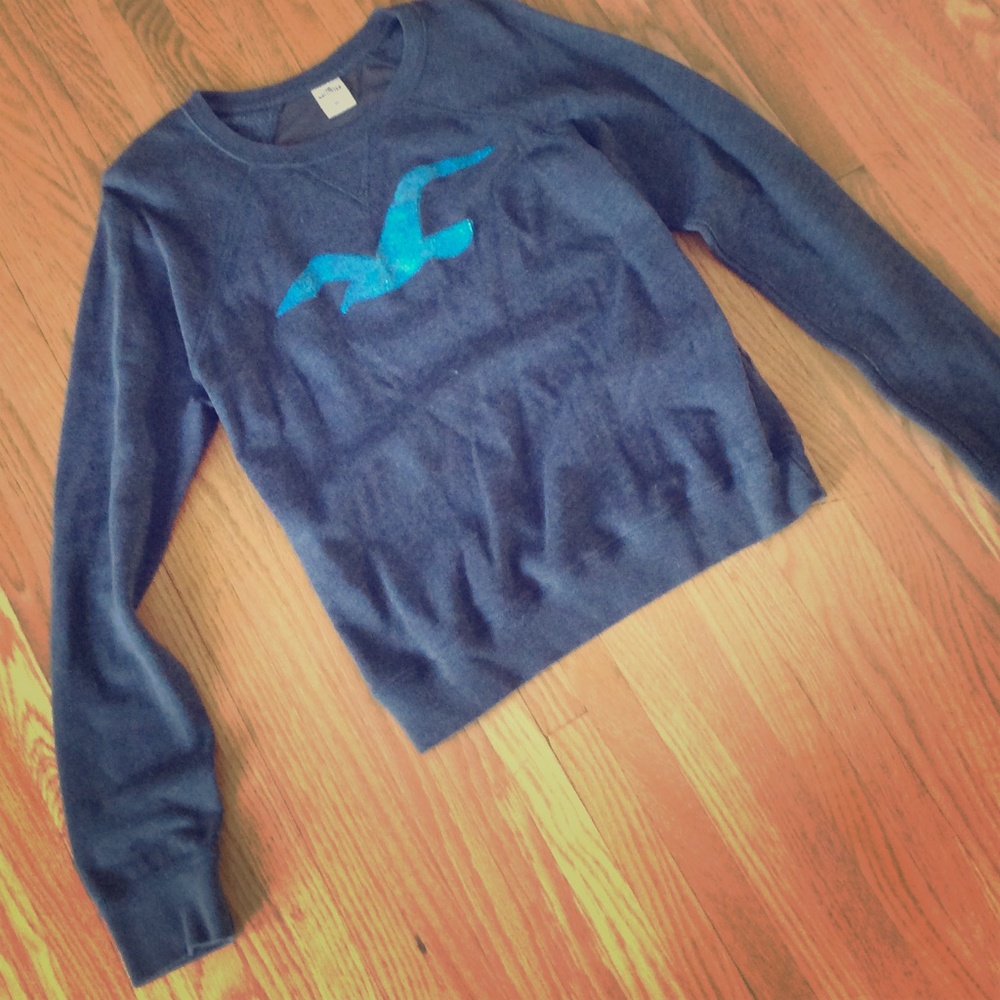 Hollister Logo Mesh Back Sweatshirt