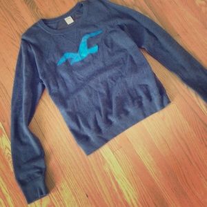 Hollister Logo Mesh Back Sweatshirt