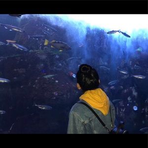 Meet your Posher, Carmina