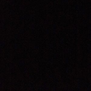 Meet your Posher, Angeline