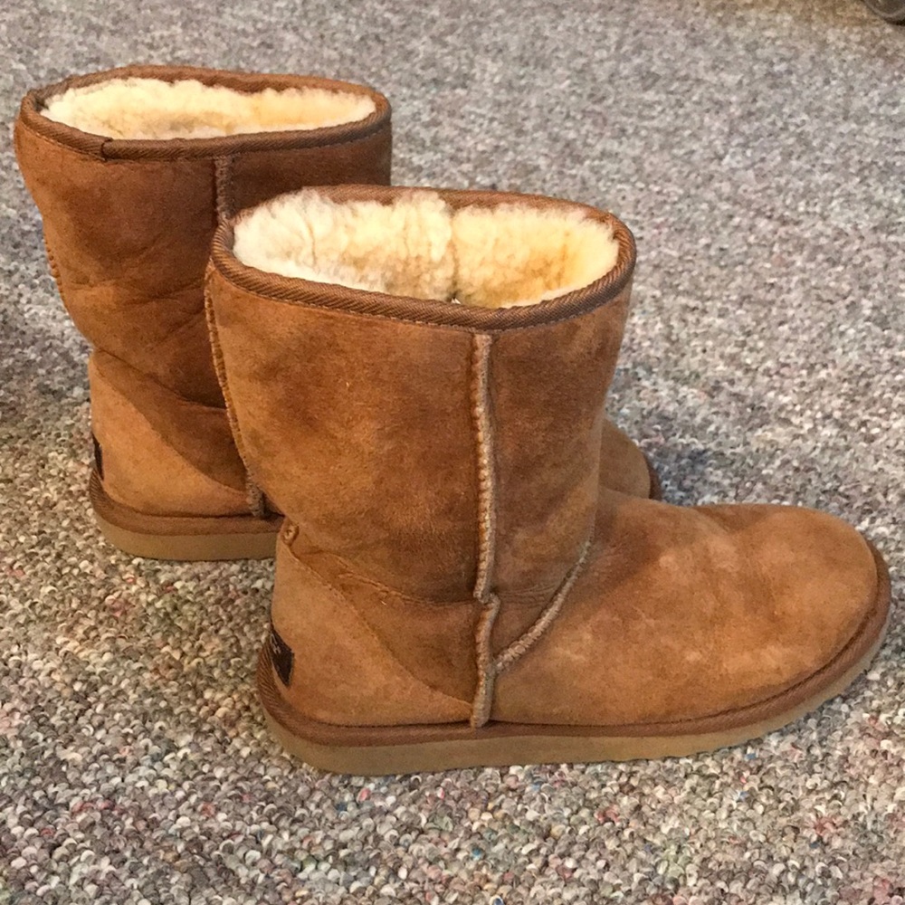 SALE UGG classic short boot Chestnut (Sz. 6)