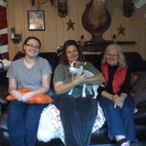 Meet your Posher, Henry-becky