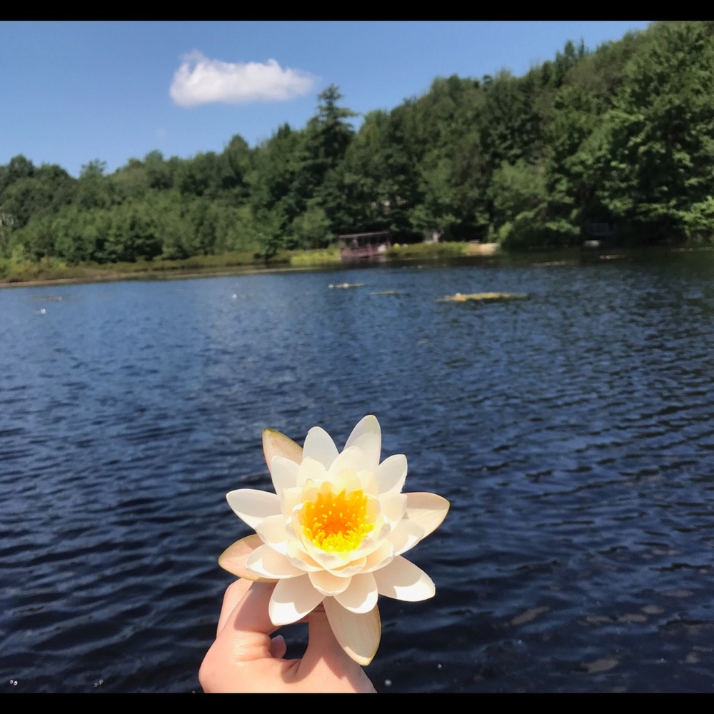 Meet your Posher, Ana