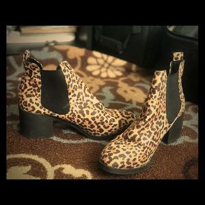 Leopard close up shoes