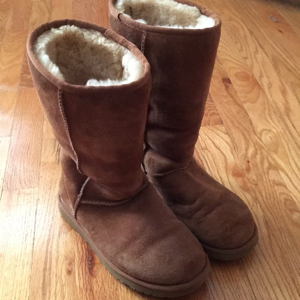 Tall Chestnut Uggs