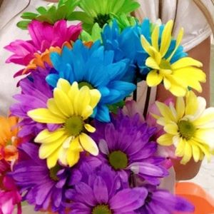 Meet your Posher, Layla