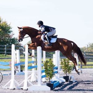 Meet your Posher, Gina