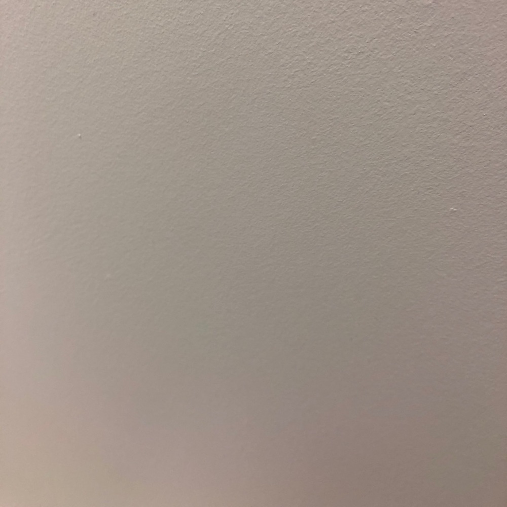 Meet your Posher, Yelitza