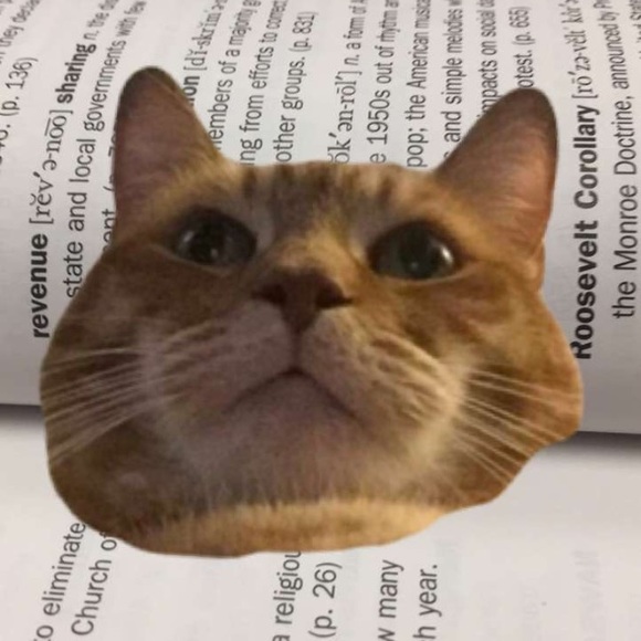 Meet your Posher, James - Picture 1 of 1