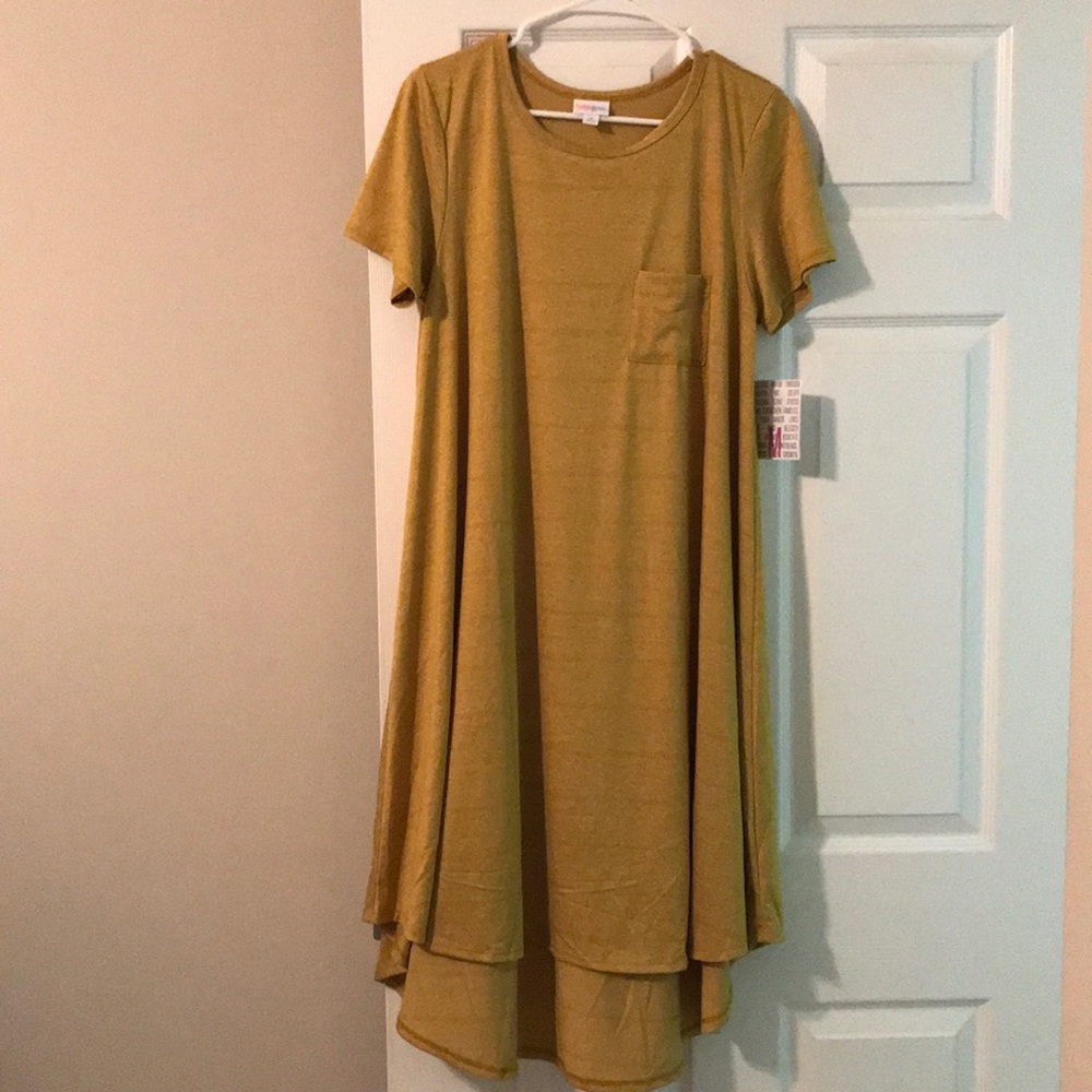 LuLaRoe Carly Dress - Size Medium