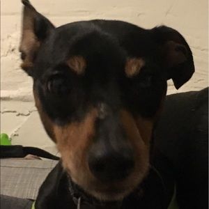 Meet your Posher, Kenneth