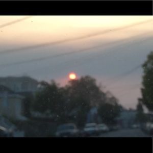 Meet your Posher, Annette