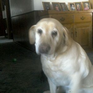 Meet your Posher, Elna