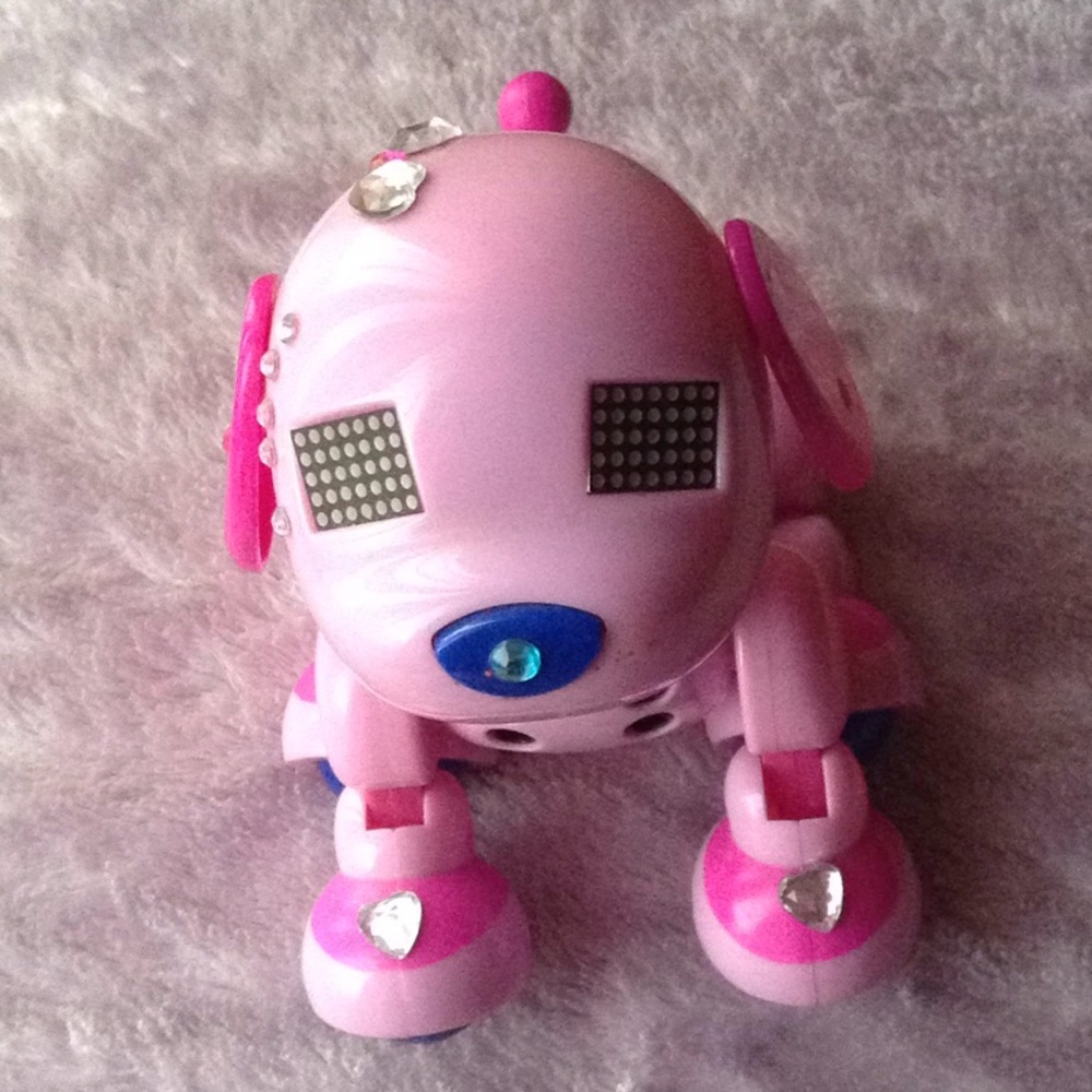 Pup toy
