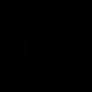 Meet your Posher, Damien