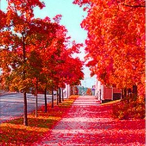 Meet your Posher, Nafeesah