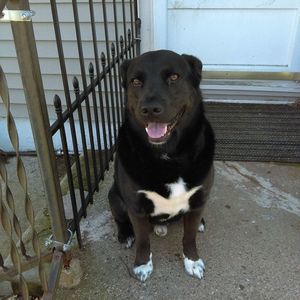 Meet your Posher, Allison