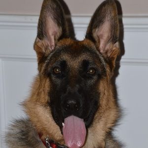 Meet your Posher, Adrianna