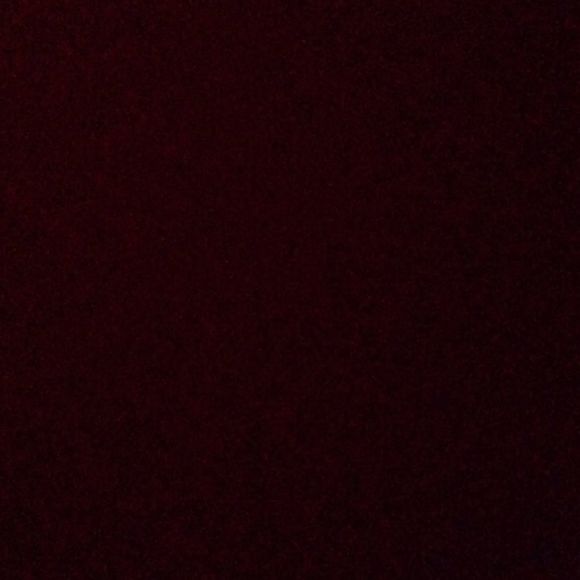 Meet your Posher, Isaiah - Picture 1 of 1