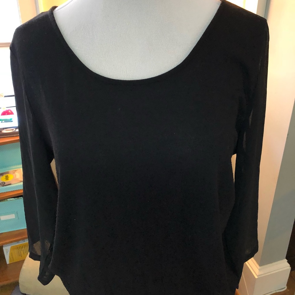 Ann Taylor sheer sleeved top. Size L. EUC!