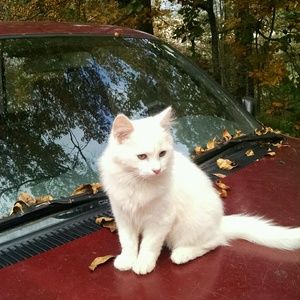 Meet your Posher, Marion