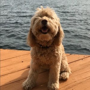 Meet your Posher, Haley