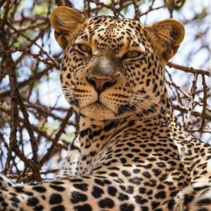 Meet your Posher, Sonya