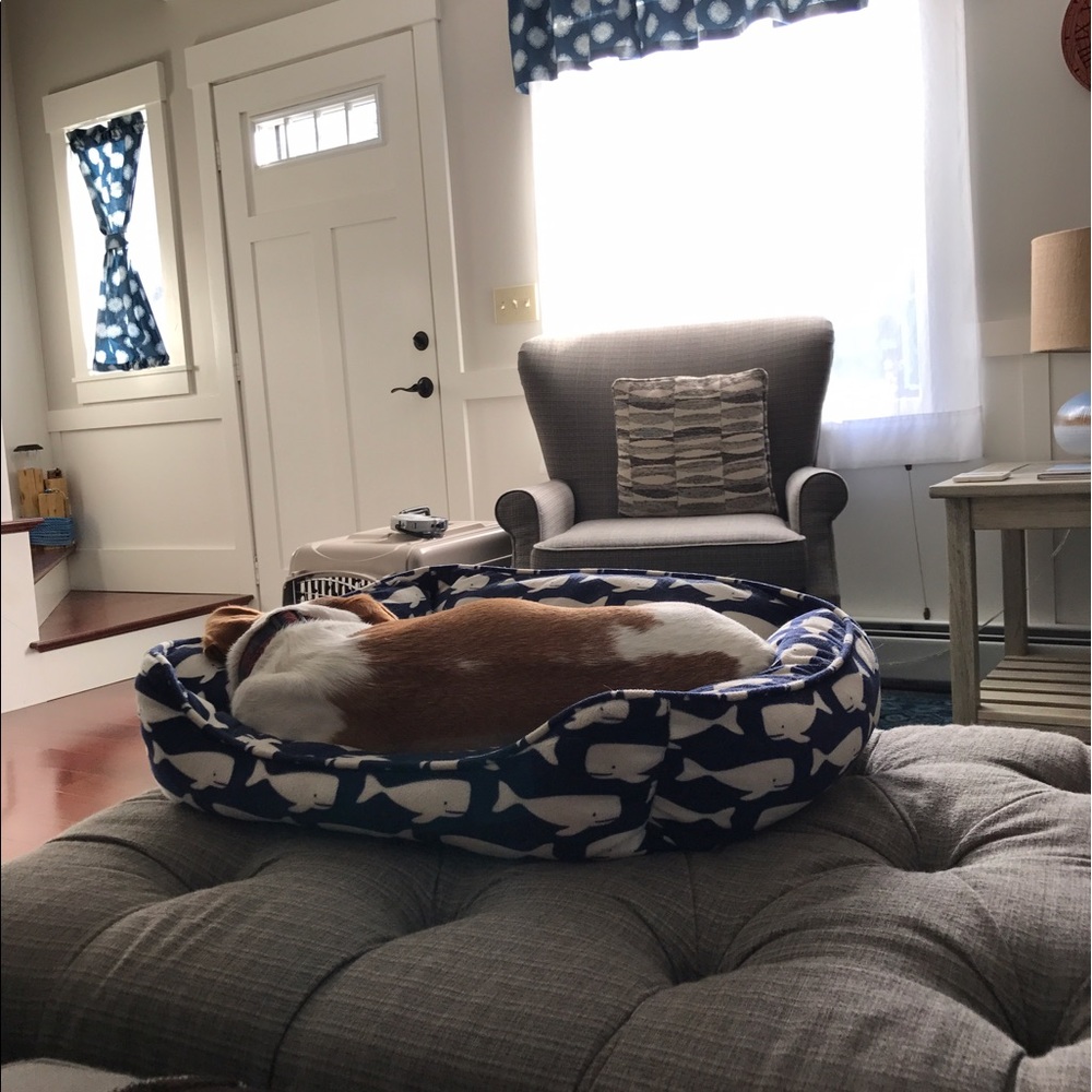 Meet your Posher, Lydia