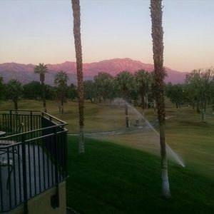 Meet your Posher, Michele