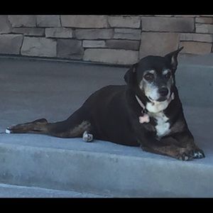 Meet your Posher, Christina