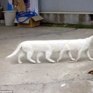 Meet your Posher, Leekathy