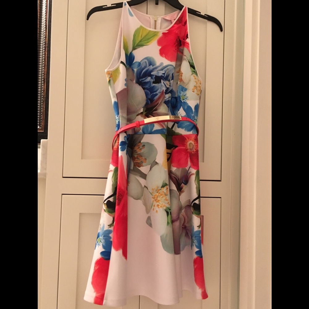 Ted Baker A line Dress