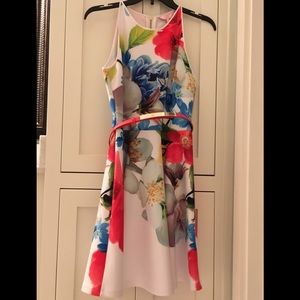 Ted Baker A line Dress