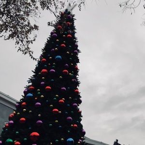 Meet your Posher, Sarai